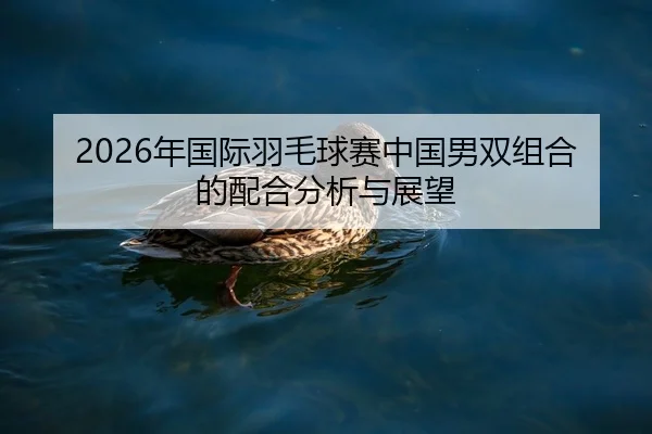 2026年国际羽毛球赛中国男双组合的配合分析与展望