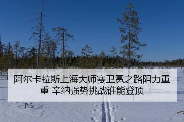 a-er-ka-la-si-shang-hai-da-shi-sai-wei-mian-zhi-lu-zu-li-chong-chong-xin-na-qiang-shi-tiao-zhan-shui-neng-deng-ding-3-348.jpg